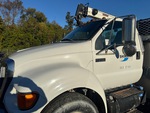 General Appearance with Pintura