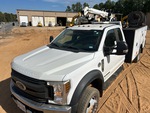 General Appearance with Paint