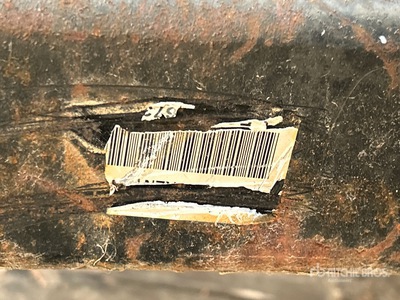 General Appearance with Numero seriale/numero d’identificazione del veicolo (VIN)