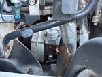 Engine with Exhaust System