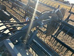 Pickup / Header with