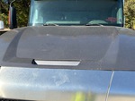 General Appearance with Paint