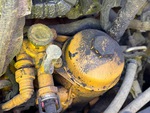 Engine with Fuel System