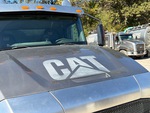 General Appearance with Paint