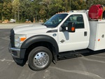 General Appearance with Paint