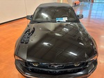 General Appearance with Paint