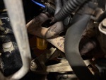 Engine with Exhaust System