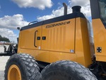 General Appearance with Paint