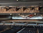 Threshing/Cleaning with