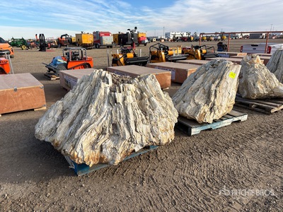 Quantity of (2) Petrified Stumps