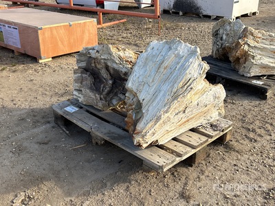 Quantity of (2) Petrified Stumps