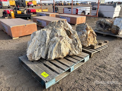 Quantity of (2) Petrified Stumps