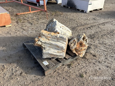 Quantity of (3) Petrified Stumps