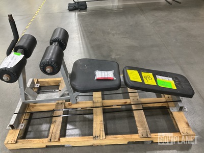 Hammer Strength A01 Bench