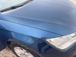 General Appearance with Paint