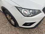 General Appearance with Peinture