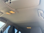 Interior with Head Liner