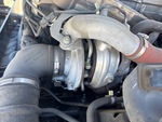 Engine with Exhaust System