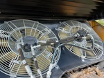 Engine with Radiator