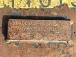 General Appearance with Numéro de série/Numéro d'identification du véhicule automobile