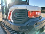 General Appearance with Paint