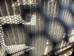 Engine with Radiator