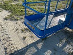 General Appearance with Steps/Ladders