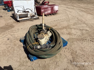 Quantity of (2) Electric Wasserpumpe