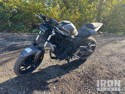 2016 Yamaha YZF-R3 300 cc Sport Bike