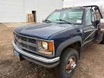 General Appearance with Paint