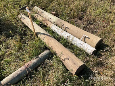 Quantity of (3) Gate Posts With Hinges
