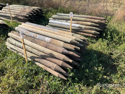 Quantity of (100) 6 ft Fence Posts