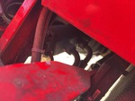 Hydraulics with Pumps (Hydraulics)