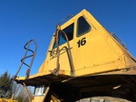 General Appearance with Paint