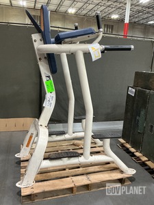 Vertical Knee/Leg Raise Station