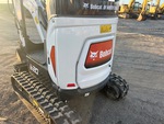 General Appearance with Paint