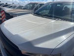 General Appearance with Paint