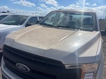 General Appearance with Paint
