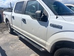 General Appearance with Paint
