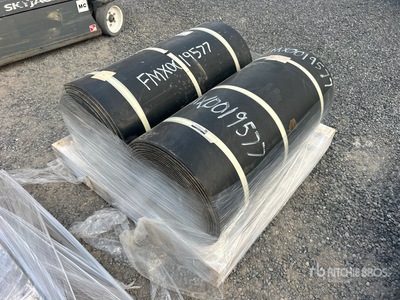 Quantity of (2) 36 in Cinta Transportadora (Unused)