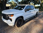 General Appearance with Paint