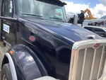General Appearance with Paint