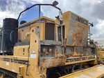 General Appearance with Paint