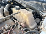Silnik with Cooling System Leaks
