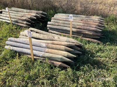 Quantity of (75) 6 ft Fence Posts