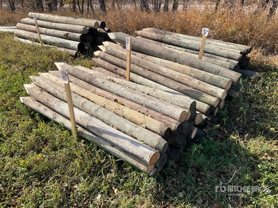 Quantity of (75) 7 ft Fence Posts