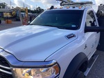 General Appearance with Paint