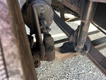4 Underbody - Truck with 