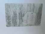 General Appearance with Frame Stamp Serial Number/VIN Photo