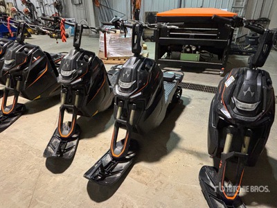 Widescape WS250 Stand Up Snowmobile